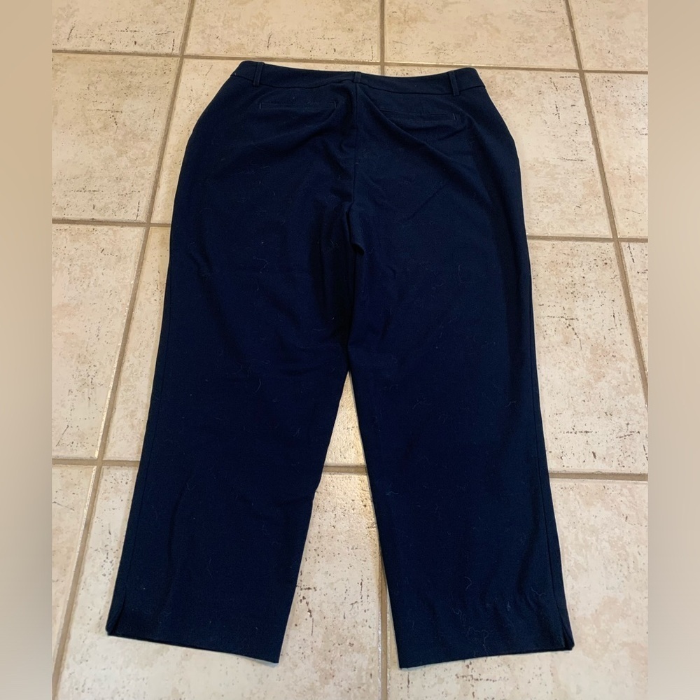 Cleo Curvy Navy Cropped Pants Size 10 - Picture 3 of 5